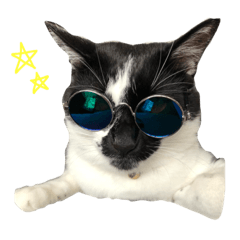 mutakun_20200810180506