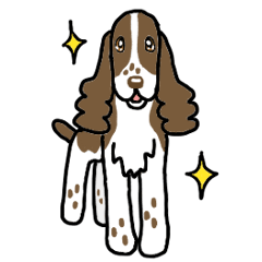 Dog stamp English Springer Spaniel