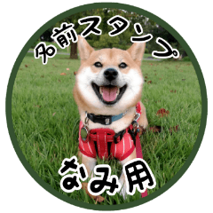 Shibainu Tsumugi -----NAMI-----