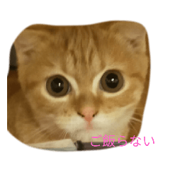 yanagi_20200811085241