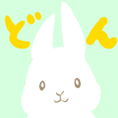 Rabbit`s pretty face