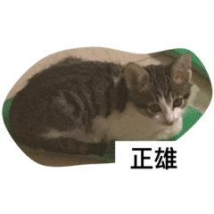 大學聲2.0 日常篇