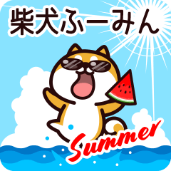 Shiba Fuumin in Summer