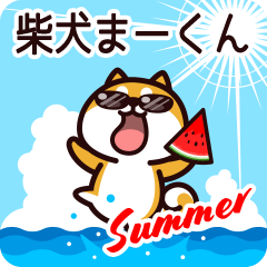 Shiba Maakun in Summer