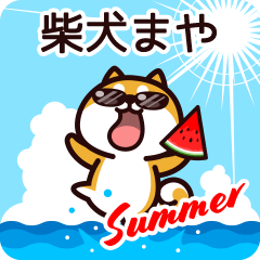 Shiba Maya in Summer