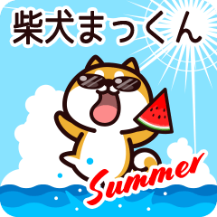 Shiba Mackun in Summer