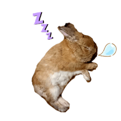 hikari_20200811130552