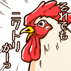 CHIKICHIKI Chicken3