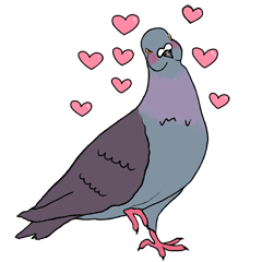 Poposuke the pigeon