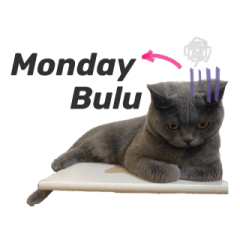 Monday Bulu