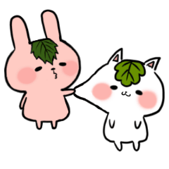 柏猫と桜兎