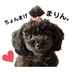 Haruna_20200811203305