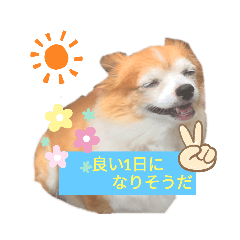 KING_20200811203559