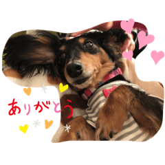 Yukina_20200811204042