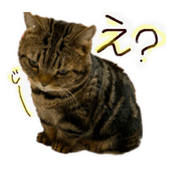 arisa_20200811230317