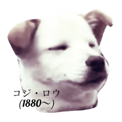risa_20200811231101