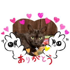 SAORI_20200811181203