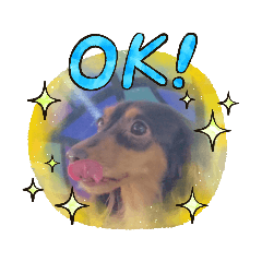 cocoa_20200812093137