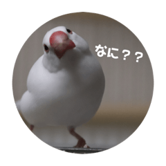 omochi_20200811193017