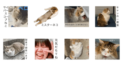 shinji_20200811220949