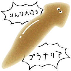 the Planarian