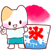 summer summer kitten