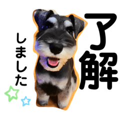 tonton_20200811221742