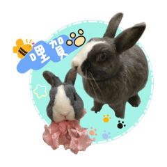 漂亮の呂小呂（生活篇）