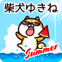 Shiba Yukine in Summer