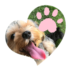 junko_20200812111602