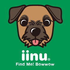 iinu - Border Terrier
