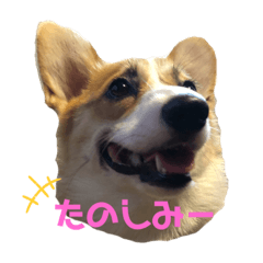 tonton_20200812135109