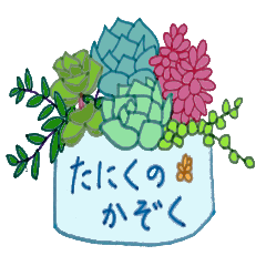 succulent plants's family
