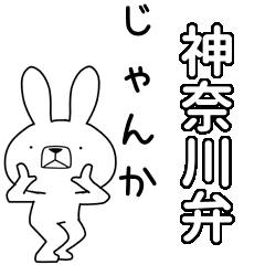 BIG Dialect rabbit [kanagawa]