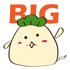 BIG MATSUNOKO
