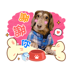 肥仔～可可愛睡覺