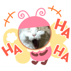 chisa_20200812145401