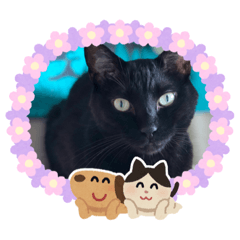 michiko_20200812162438