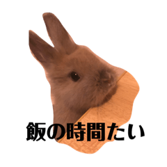 RISA_20200812154032