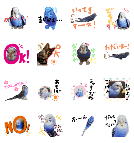 セキセイインコと猫2」LINEクリエイターズスタンプ - stampList