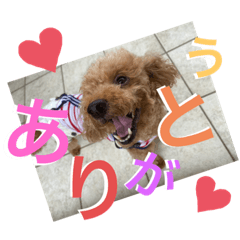 rina_20200812170344