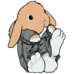 jacket rabbit