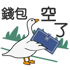 Dwarf goose-My daily life