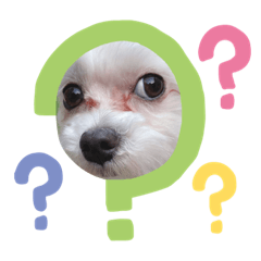 yurina_20200812190229