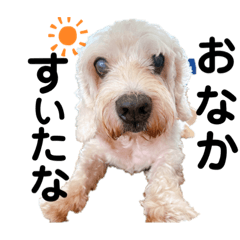 Charlie stickers