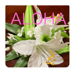 chie_20200812214102