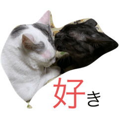 SAORI_20200812215320