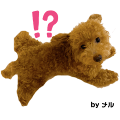 kurumi_20200812215519