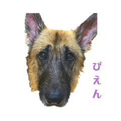 sumire_20200812220723