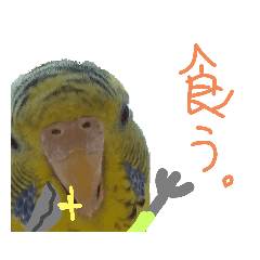 緑のズボンのインコ Lineクリエイターズスタンプ Stamplist